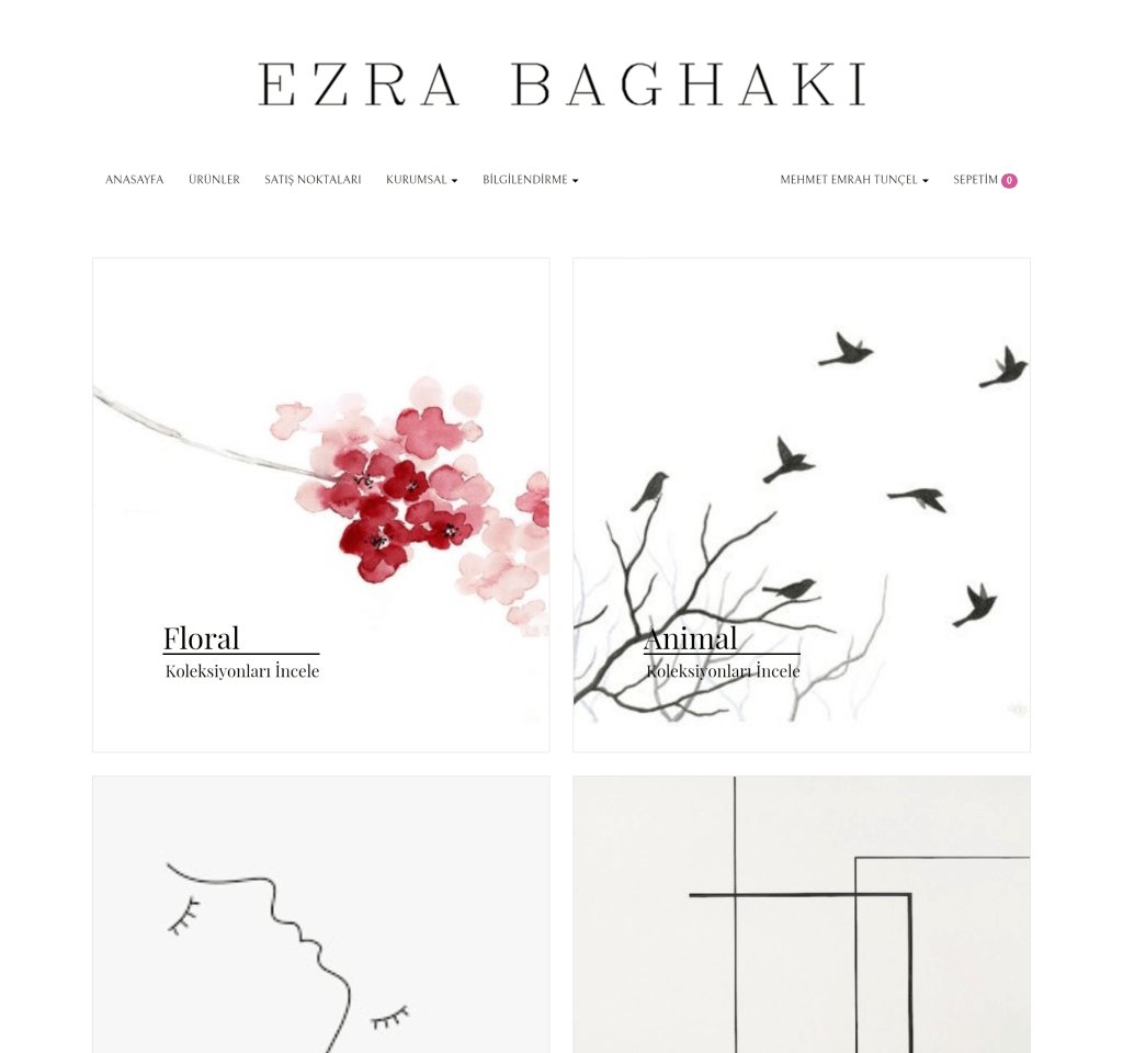 ezrabaghaki.com - önizleme